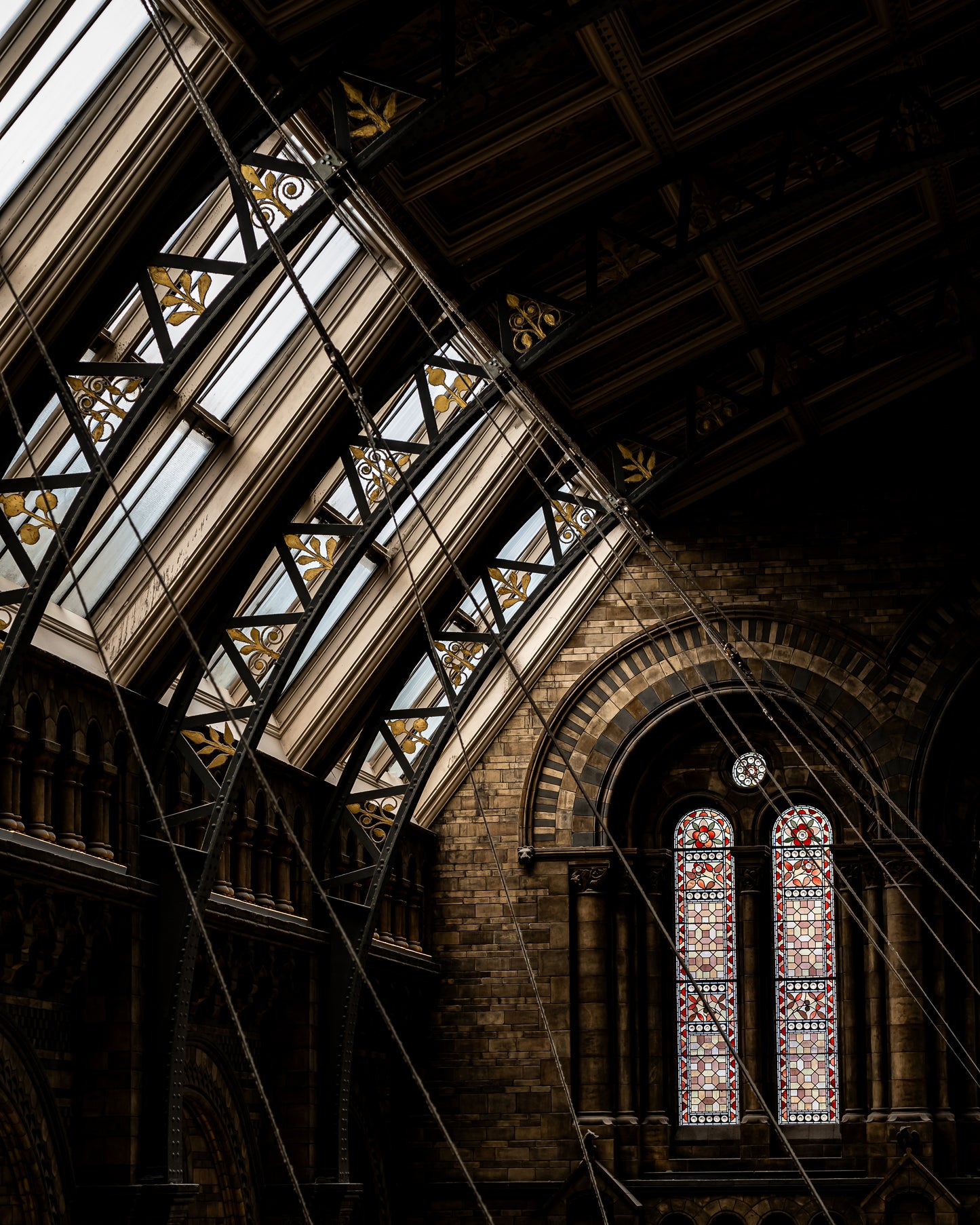 hintze hall - Natural History Museum